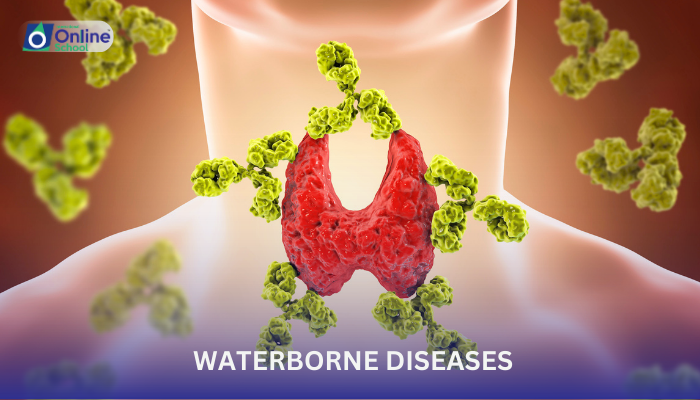 Lesson 08: Waterborne Diseases
